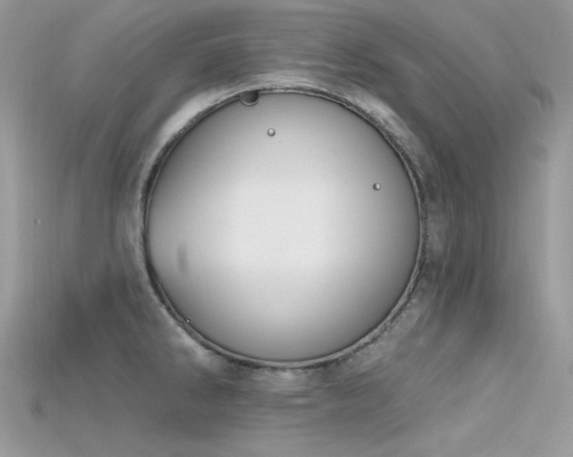 X0000115711286200911121417