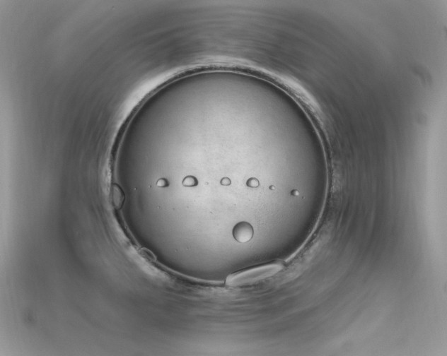 X0000115711287200911121417