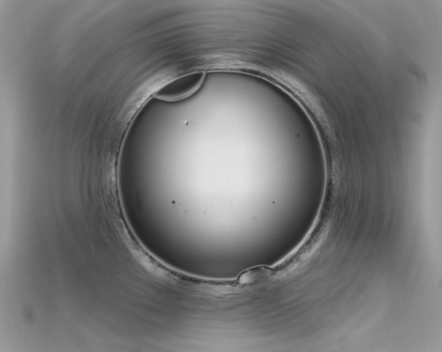 X0000115711289200911121417