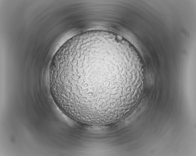 X0000115711290200911121417