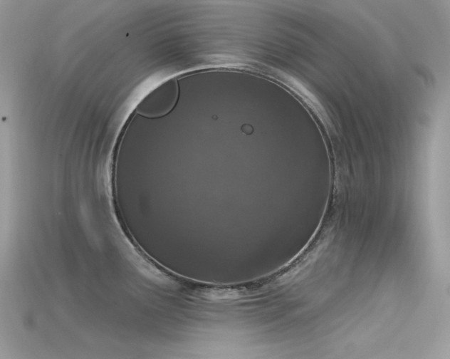 X0000115711291200911121417