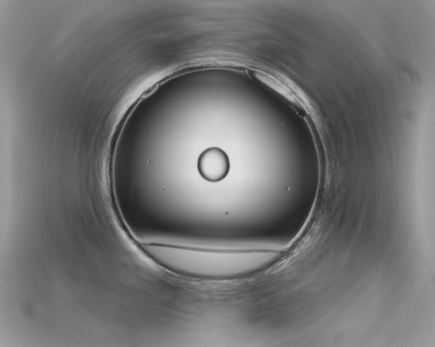 X0000115711293200911121417