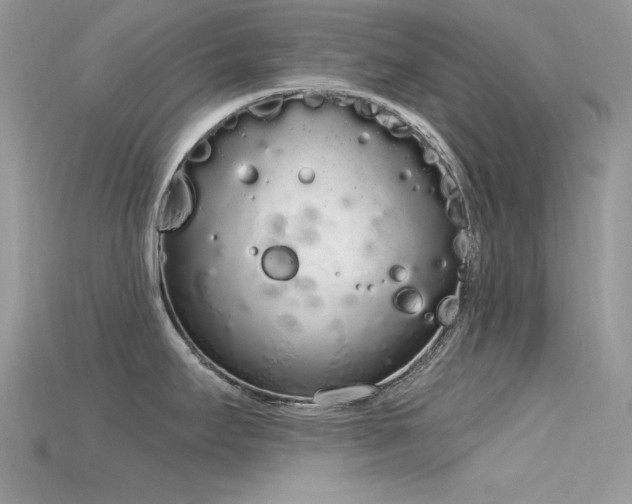 X0000115711295200911121417