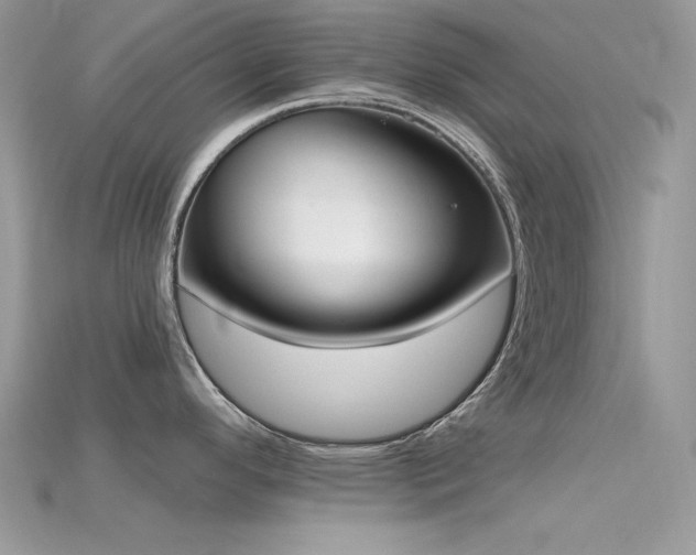 X0000115711296200911121417