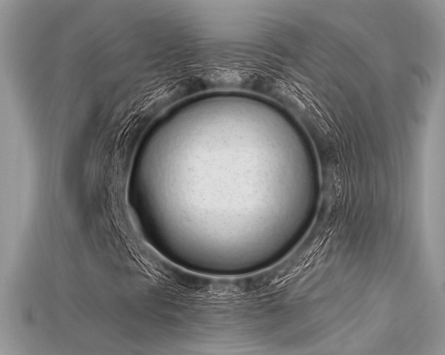 X0000115711297200911121417