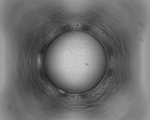 X0000115711298200911121417