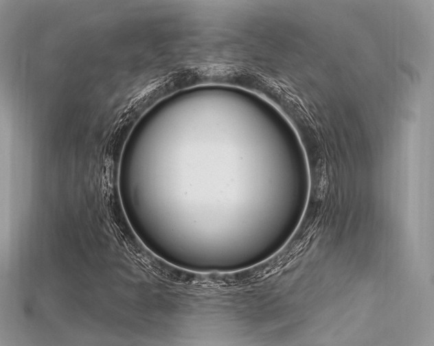 X0000115711301200911121417