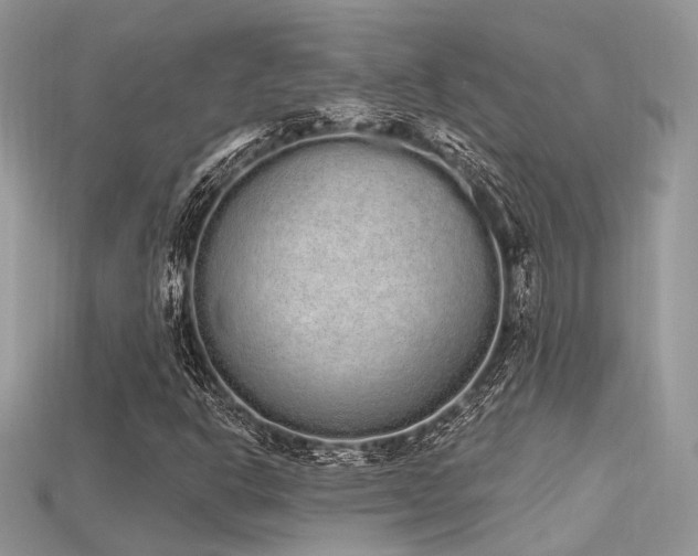 X0000115711302200911121417