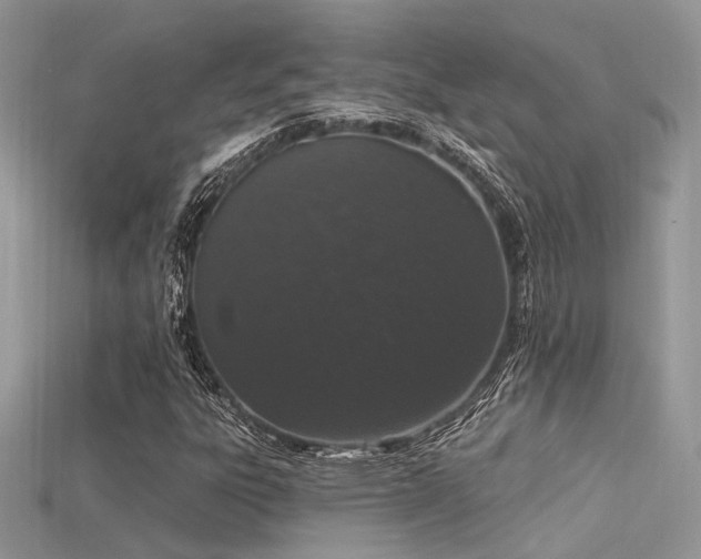 X0000115711303200911121417