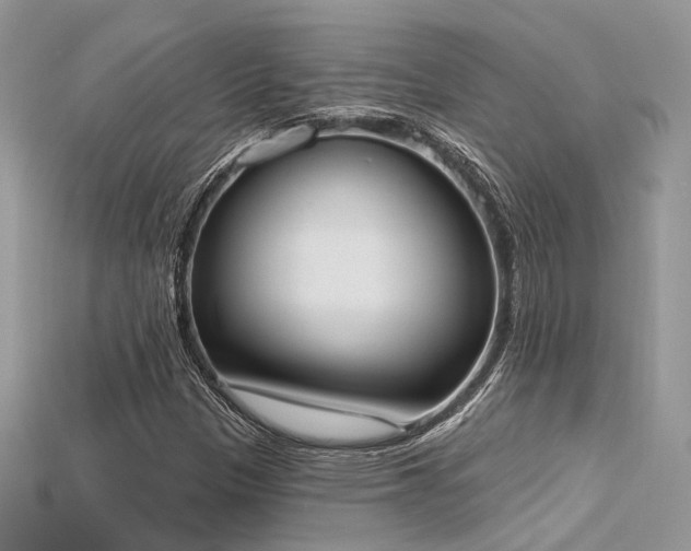 X0000115711305200911121417