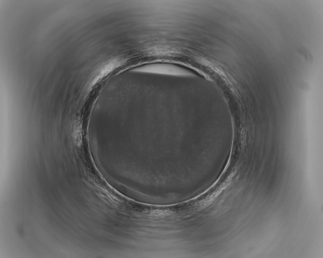 X0000115711306200911121417