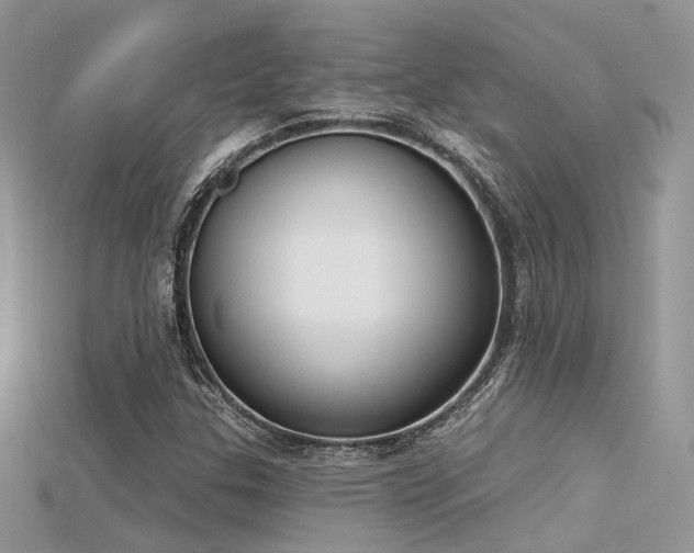 X0000115711307200911121417