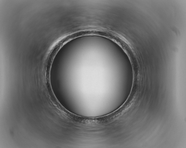 X0000115711310200911121417