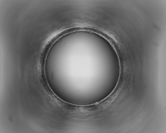 X0000115711311200911121417