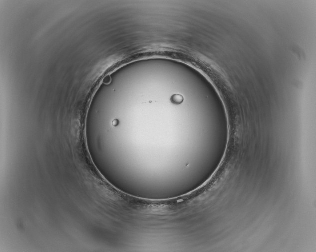 X0000115711313200911121417