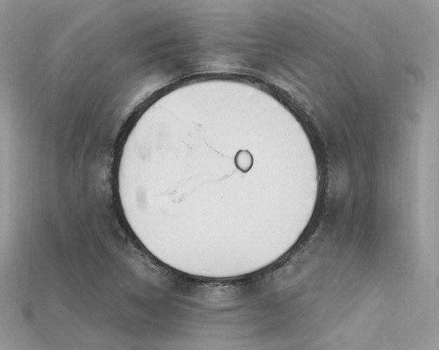 X0000115711314200911121417