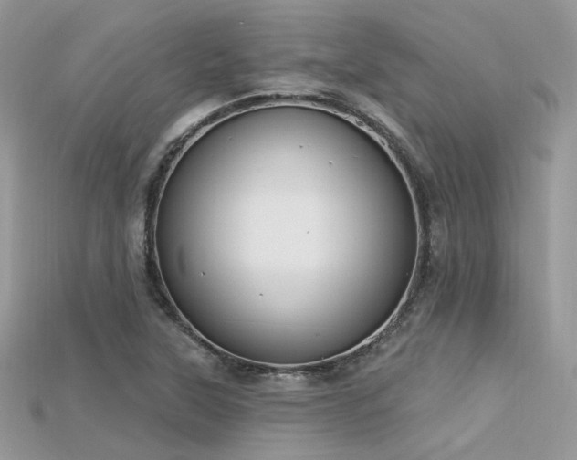 X0000115711315200911121417