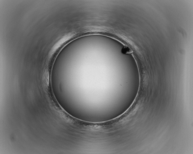 X0000115711317200911121417