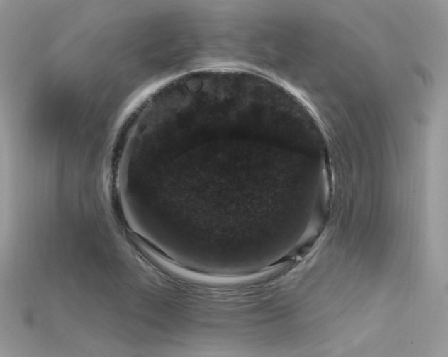 X0000115711319200911121417