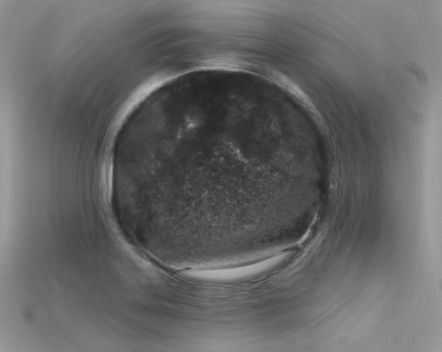 X0000115711323200911121417