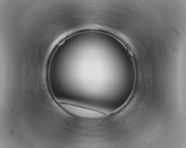 X0000115711326200911121417