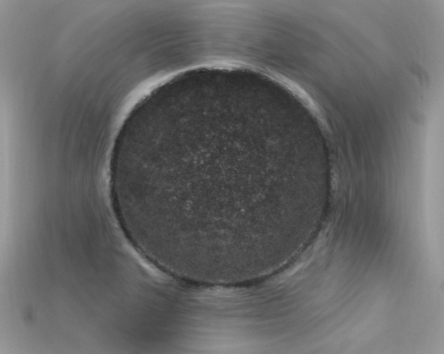 X0000115711327200911121417