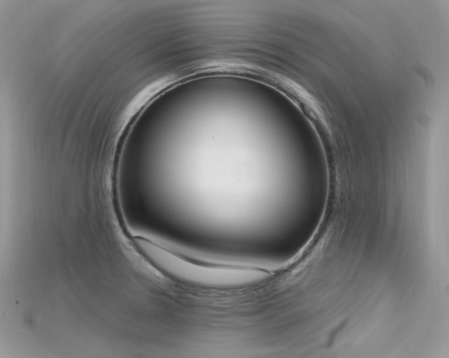 X0000115711330200911121417