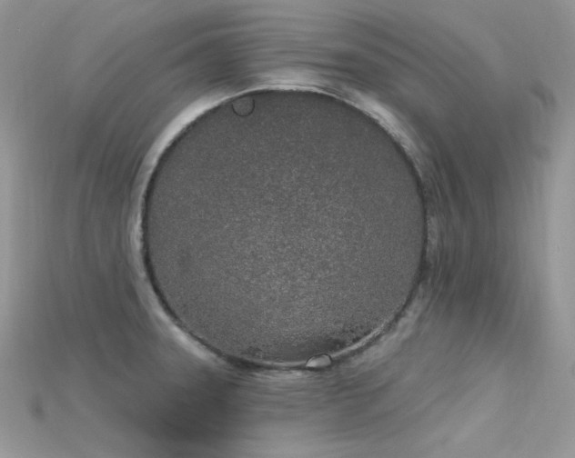 X0000115711331200911121417