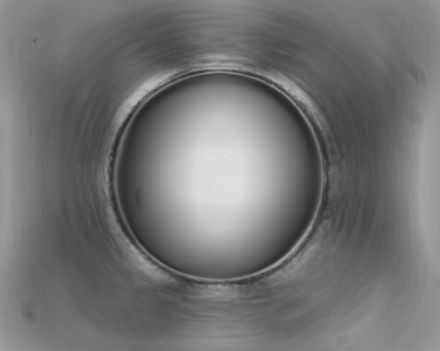 X0000115711333200911121417