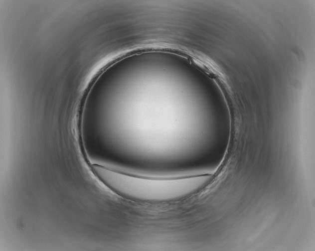 X0000115711334200911121417