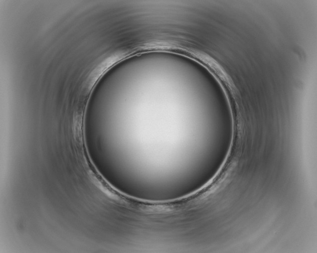 X0000115711337200911121417