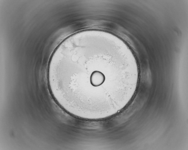 X0000115711338200911121417