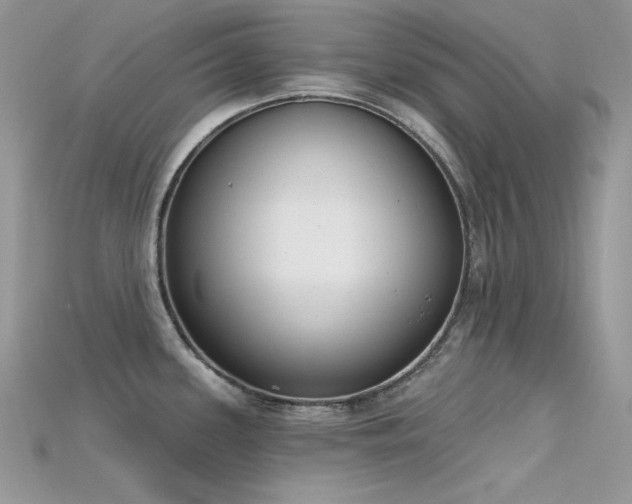 X0000115711339200911121417