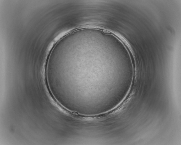 X0000115711341200911121417