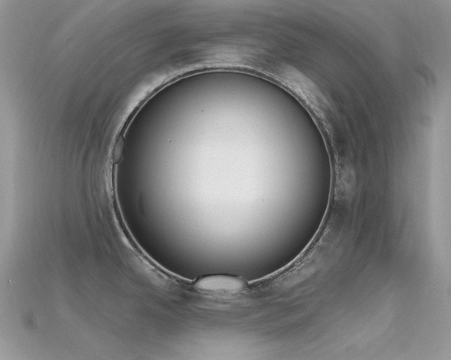 X0000115711342200911121417