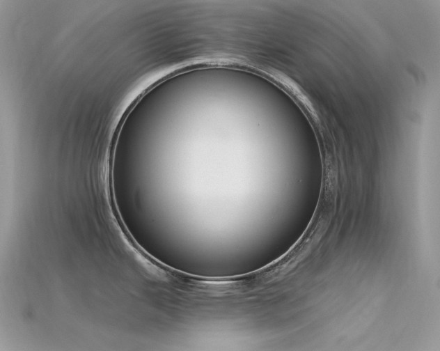 X0000115711343200911121417