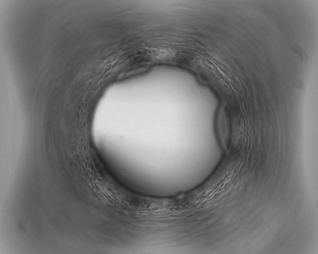 X0000115711345200911121417