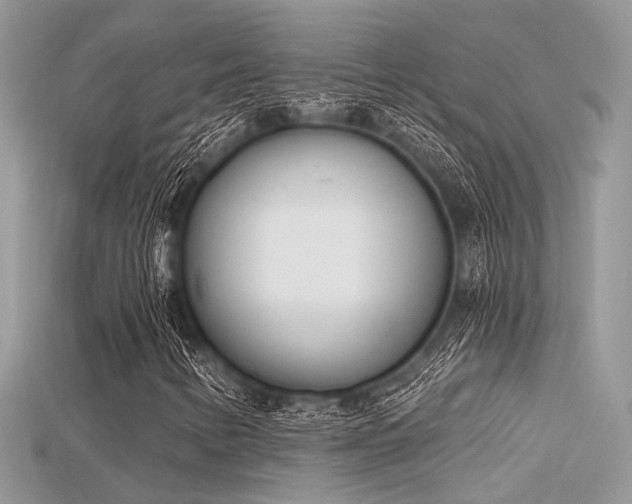 X0000115711346200911121417