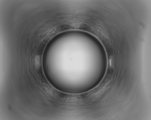 X0000115711347200911121417