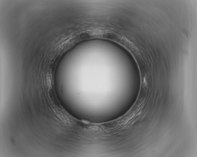 X0000115711348200911121417