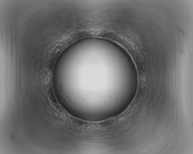 X0000115711349200911121417