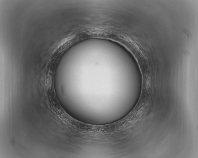 X0000115711350200911121417