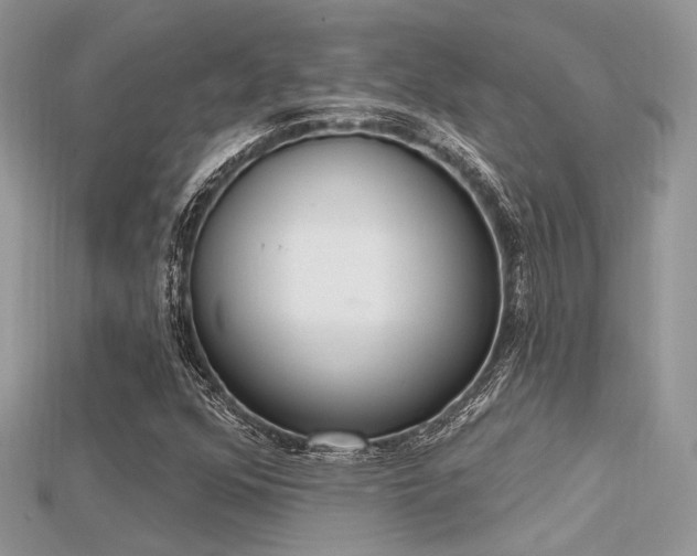 X0000115711352200911121417