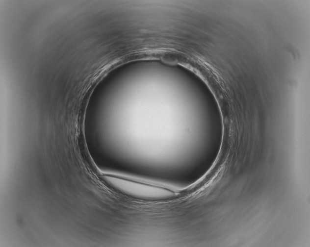 X0000115711353200911121417