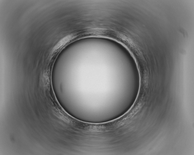 X0000115711354200911121417