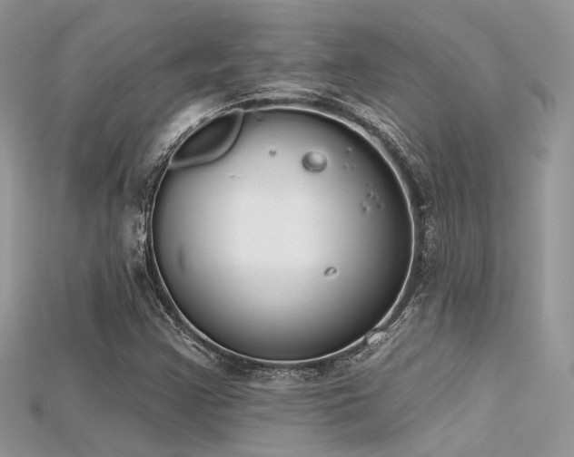 X0000115711355200911121417