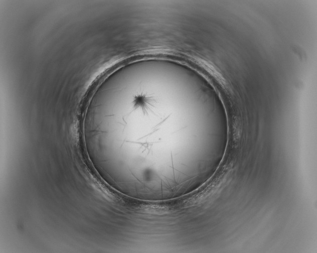 X0000115711356200911121417