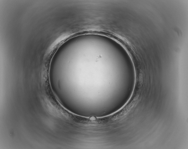 X0000115711359200911121417