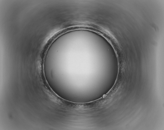 X0000115711360200911121417