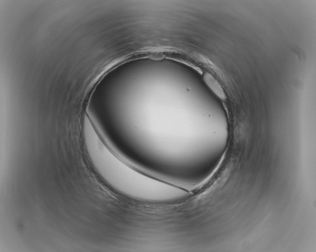 X0000115711361200911121417